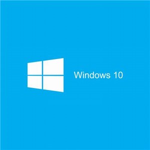Microsoft Windows 10 Professional 64 Bit Operating System